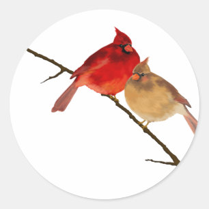Sticker Rond cardinaux sur une branche
