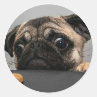 Sticker Rond Carlin