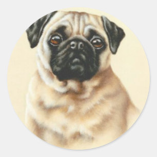 Sticker Rond Carlin chinois