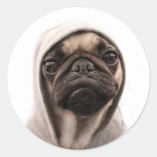 Sticker Rond Carlin dans un sweat - shirt à capuche