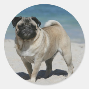 Sticker Rond Carlin de la plage