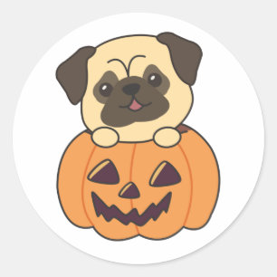 Sticker Rond Carlin En Chiens Doux Citrouilles Bonne Halloween