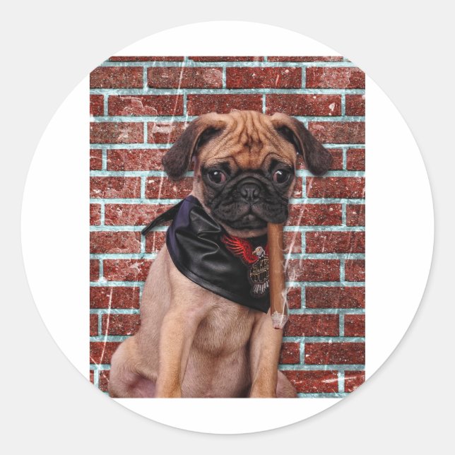 Sticker Rond Carlin main cool (Devant)