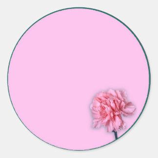 Sticker Rond Carnation
