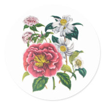 Carnaval des fleurs