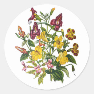 Sticker Rond Carnaval des fleurs