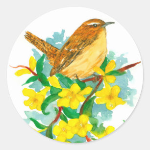 Sticker Rond Carolina Wren Jessamine Aquarelle Fleurs
