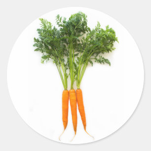 Sticker Rond Carottes