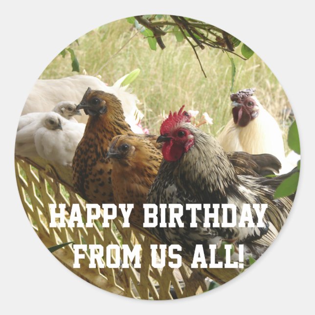 Sticker Rond Carte Tous les Anniversaires des poulets de coq (Devant)
