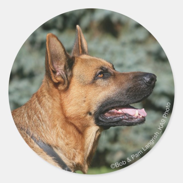 Sticker Rond Casque berger allemand 1 (Devant)
