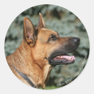 Sticker Rond Casque berger allemand 1