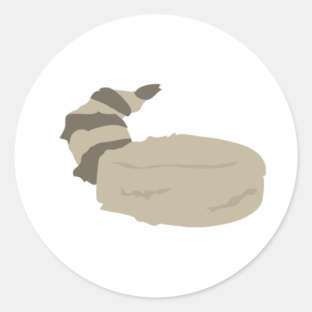 Sticker Rond Casquette de peau de coon (Devant)