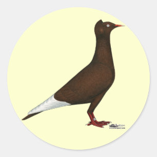 Sticker Rond Casquette de vol Pigeon
