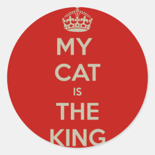 Sticker Rond Cat