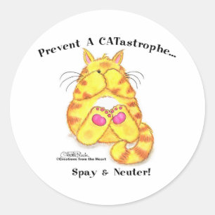 Sticker Rond CATastrophe