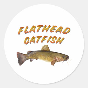 Sticker Rond Catfish