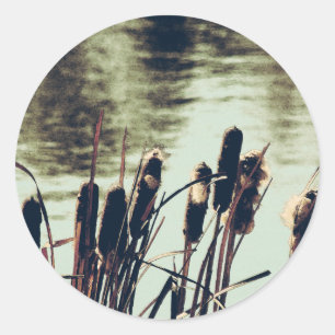 Sticker Rond Cattails, Plantes d'étang