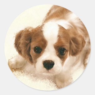 Sticker Rond Cavalier King Charles Spaniel