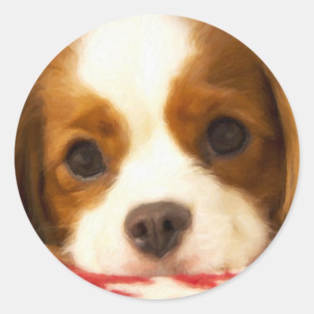 Sticker Rond Cavalier King Charles Spaniel flocon (Devant)