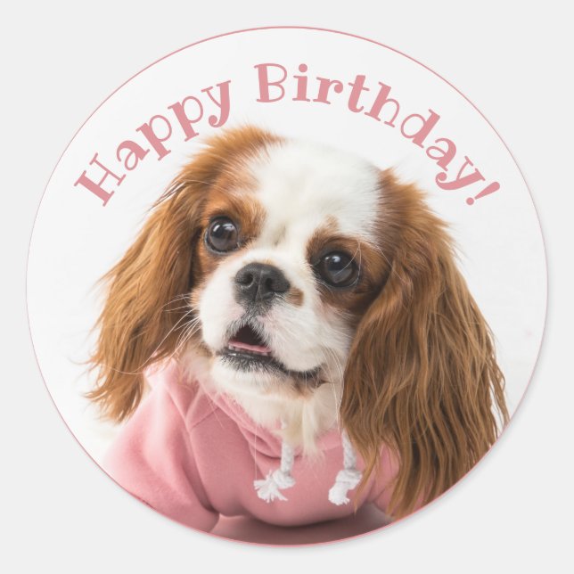 Sticker Rond Cavalier Roi Charles Espagnol Rose Joyeux Annivers (Devant)