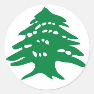 Sticker Rond Cèdre vert Liban