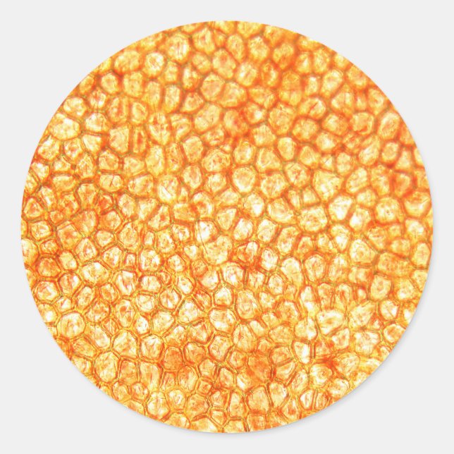 Sticker Rond Cellules tomates au microscope (Devant)