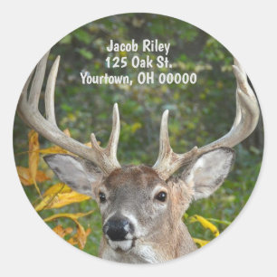Sticker Rond cerf à gros seins dans les bois