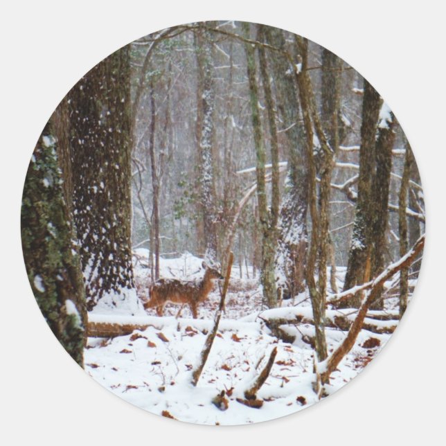 Sticker Rond Cerf dans la chute de neige (Devant)