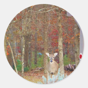 Sticker Rond Cerf de Noël