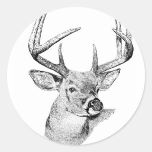 Sticker Rond Cerf de Virginie