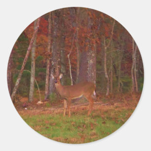 Sticker Rond Cerf, Grass vert rouge et feuilles d'or