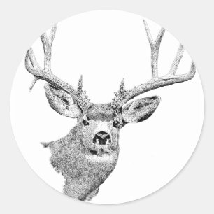 Sticker Rond Cerfs communs de mule