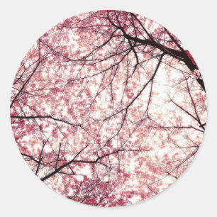 Sticker Rond cerise fleurie 2