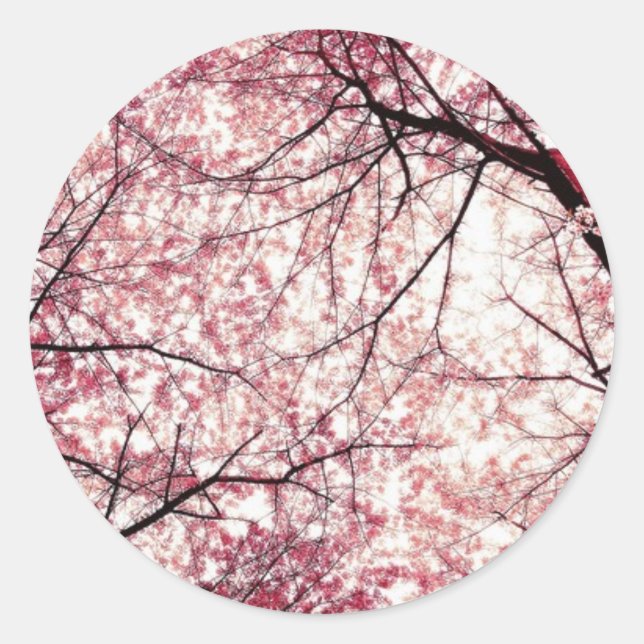Sticker Rond cerise fleurie 2 (Devant)