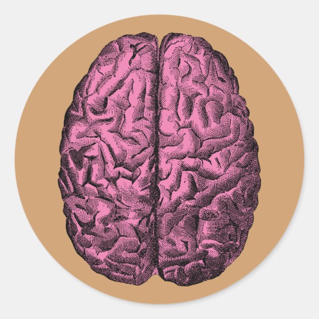 Sticker Rond Cerveau anatomique humain (Devant)