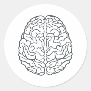 Sticker Rond Cerveau humain