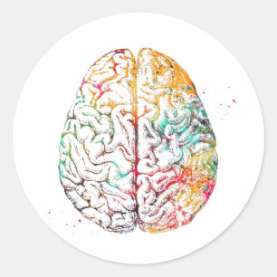 Sticker Rond Cerveau humain
