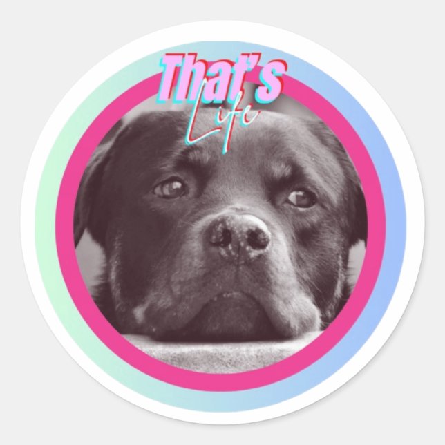 Sticker Rond C'est la vie (Devant)