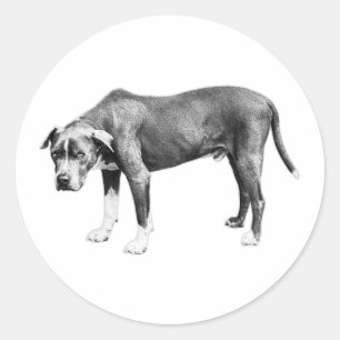 Sticker Rond Cette apparence douce - Encre et patience
