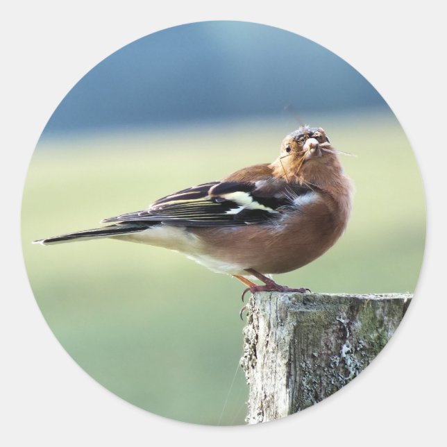 STICKER ROND CHAFFINY (Devant)