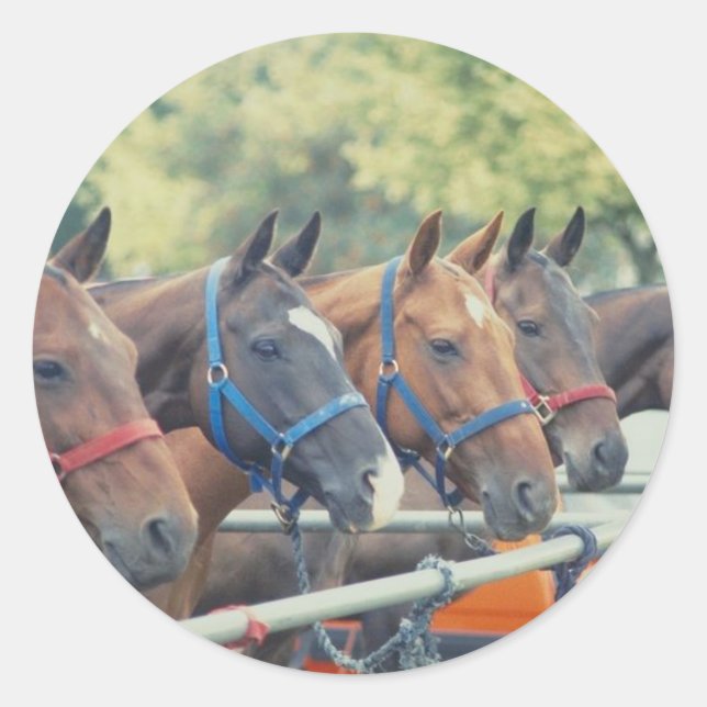 Sticker Rond Chaîne Polo Pony (Devant)