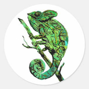 Sticker Rond Chamaleon très vert
