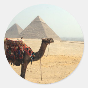 Sticker Rond chameau de pyramide