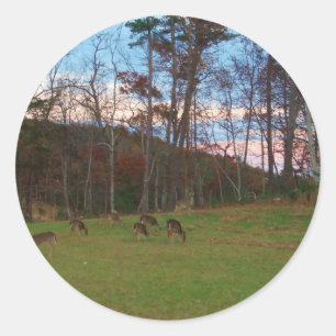Sticker Rond Champ de cerf et un SunSet rose