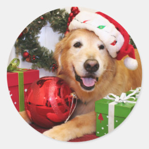 Sticker Rond Champ - Golden Retriever - Lukas