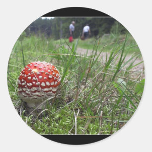 Sticker Rond Champignons Dans L'Herbe