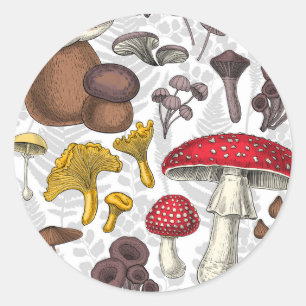 Sticker Rond Champignons sauvages