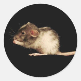 Sticker Rond chanceux