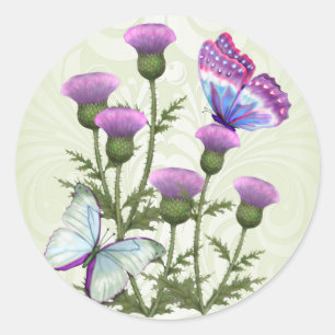 Sticker Rond Chardons et papillons