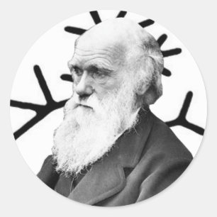 Sticker Rond Charles Darwin